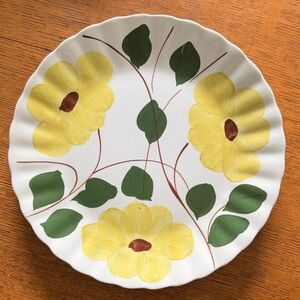 9.5 in Blue Ridge “Ridge Daisy”Southern Potteries White Decorative Plate